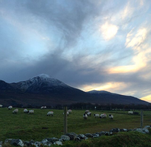 The beautiful snow-capped Croagh Patrick Mountain with a few onlookers 🐏 <a href="/CroaghPHostel/">CroaghPatrickHostel</a> <a href="/WestportIreland/">Destination Westport</a>