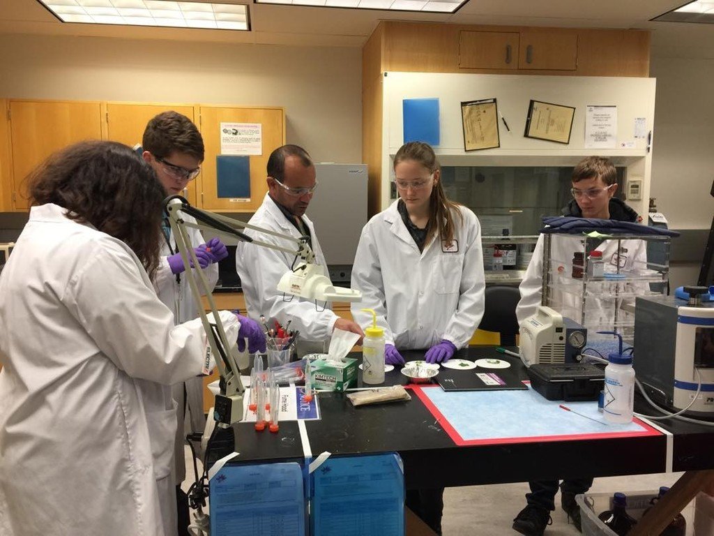 CanLightSource's tweet image. RT @PACarlton &quot;Beam students are now preparing their samples! #saderscience  https://t.co/CkF54YLvFx&quot; ow.ly/aMly306qeMJ