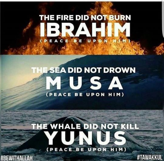 JannahtuAllah's tweet photo. Trust Allah. He is the best planner 🙌🏻#Tawakkul #bewithallah https://t.co/CzthmmrrOR