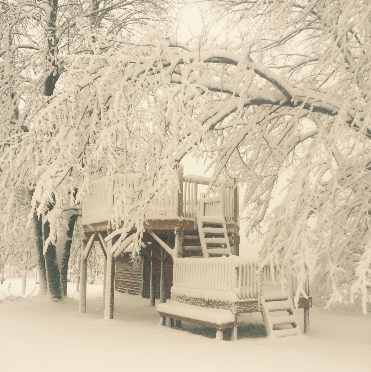 Winter wonderland. #Thanksgiving #2016 #summer #camp at #Camp #Thunderbird #Bemidji #Minnesota