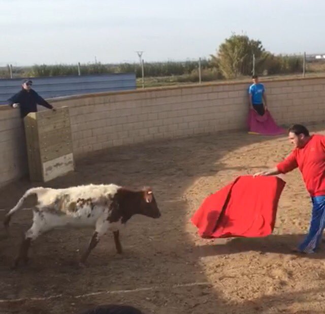 jorgito (@guirlesjorge) on Twitter photo 