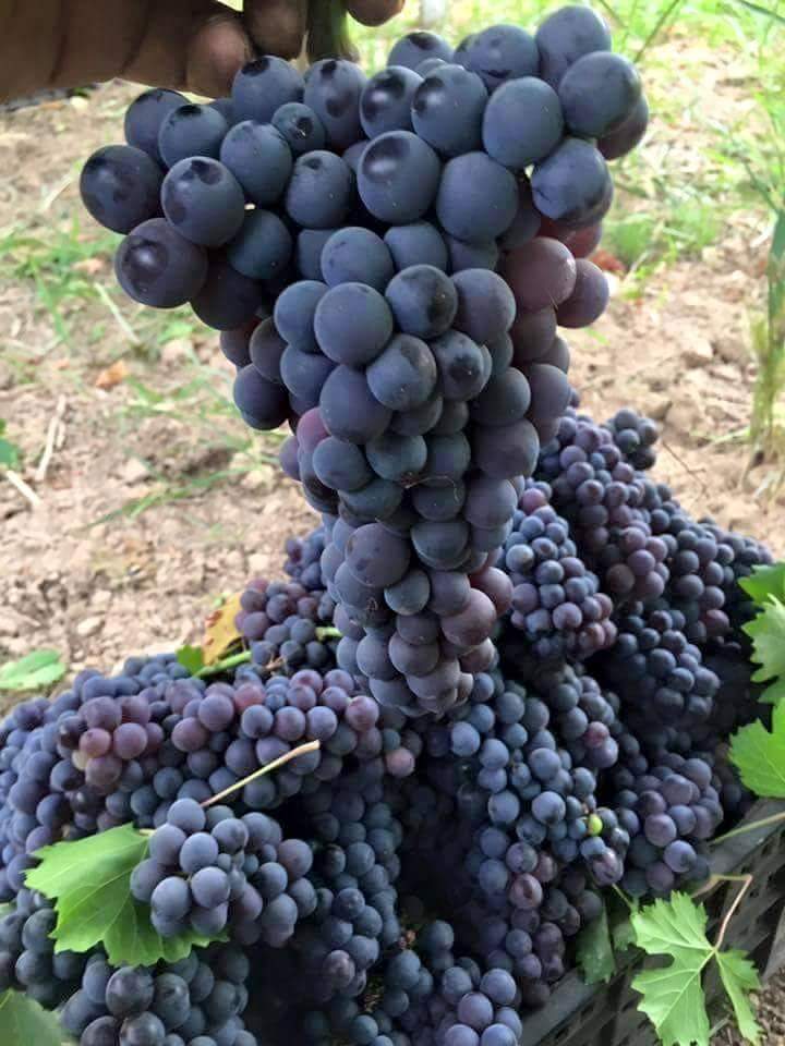 خذني لك (@sos7060) on Twitter photo 