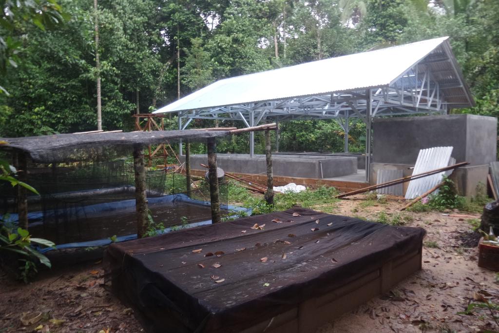 Firmand Syah tweet media