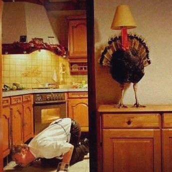 We will be taking time off Nov. 23-28 to spend with family for Thanksgiving. Have a wonderful holiday &amp; I'll miss y'all this weekend!