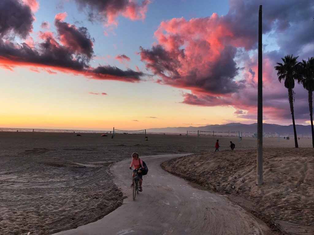 Venice311's tweet photo. Firepuffs https://t.co/9pSn7rVeVX