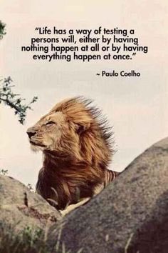 kiranpatel0808's tweet photo. #TestYourWill #PauloCoelho #mondaymotivation https://t.co/MwEj698fhm