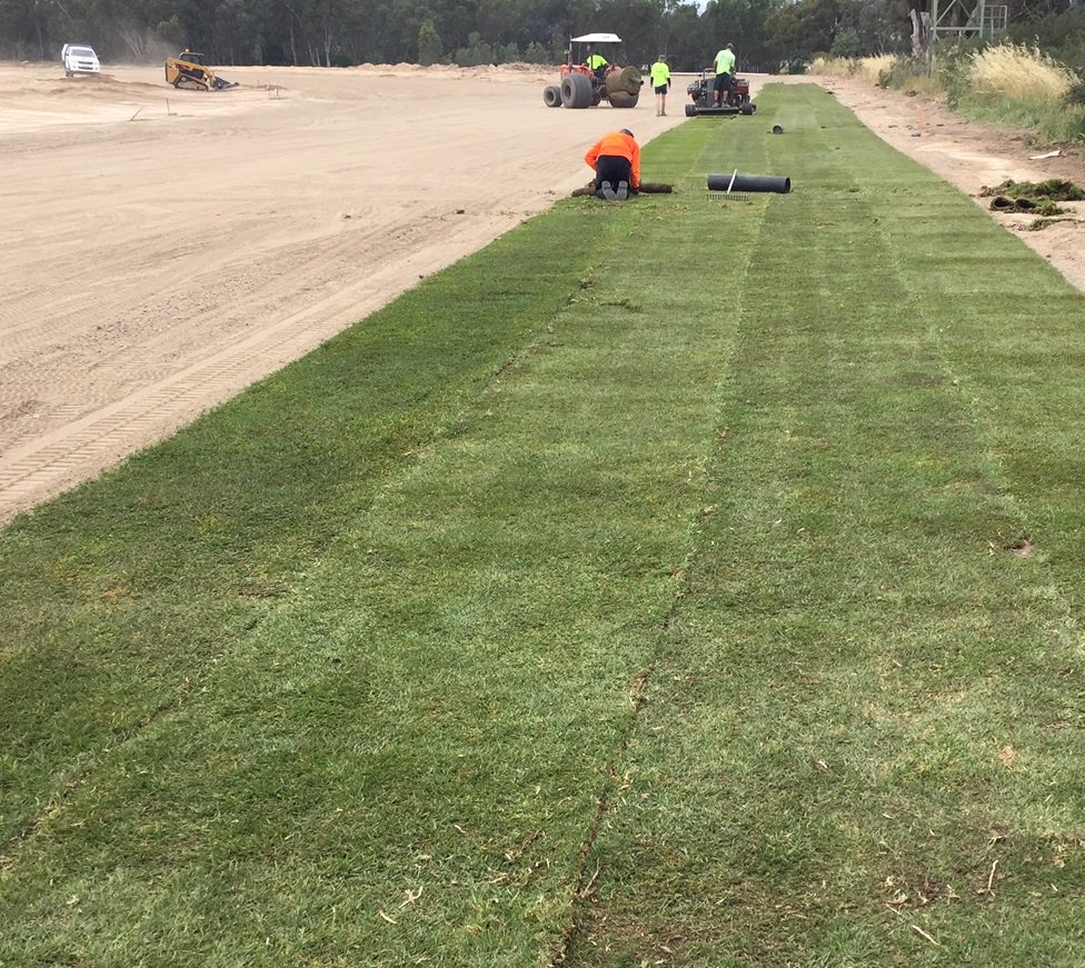 AlburyRacing's tweet photo. Laying of new turf has commenced... https://t.co/TDl7TsmT34