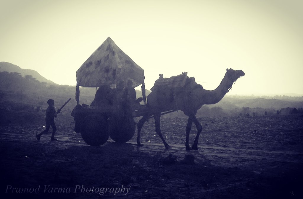 VarmPram's tweet image. Let's go home.... #travelphotography #mood #sunset #Rajasthan #india