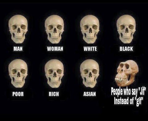 aIIthememes's tweet image. 