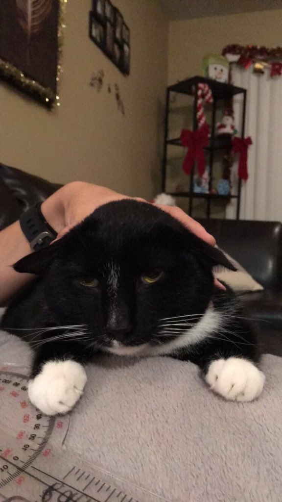 binx301's tweet photo. Current mood: give me #thxgivingbreak #turkey #POTATOES 🦃🌽🍗 https://t.co/3ifUf39FBS
