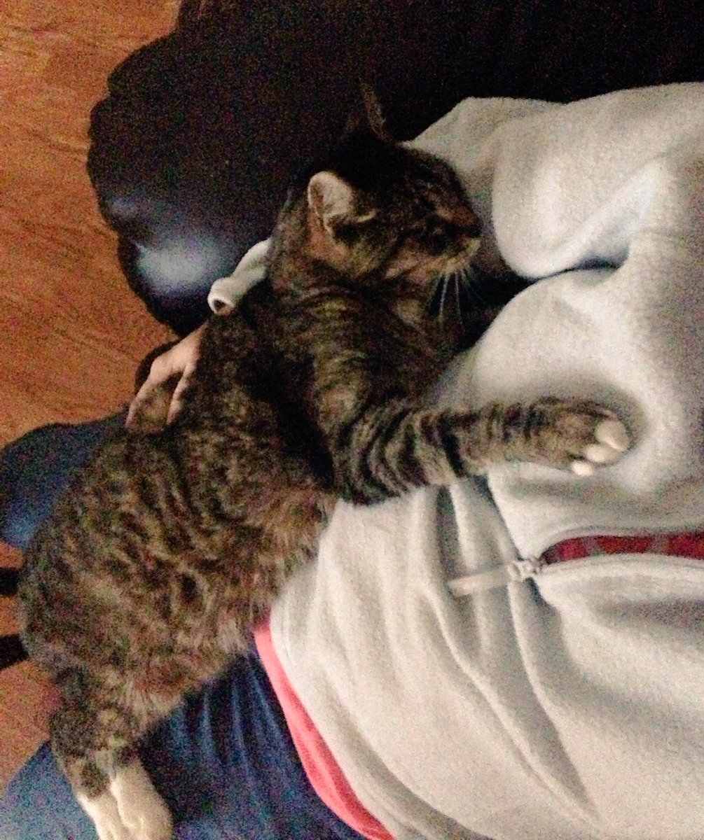 In2sidSimons's tweet image. Fur baby