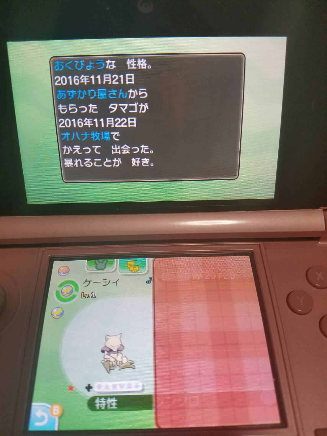 ポケモン攻略 Game8公式 臆病シンクロケーシィ 色違いででましたー O 性格厳選でよく使うケーシィだから嬉しいです W T Co T0oln0iego Twitter ポケモン攻略 Game8公式 臆病シンクロケーシィ 色違いででましたー O 性格厳選でよく使うケーシィだから嬉しいです W T Co T0oln0iego Twitter