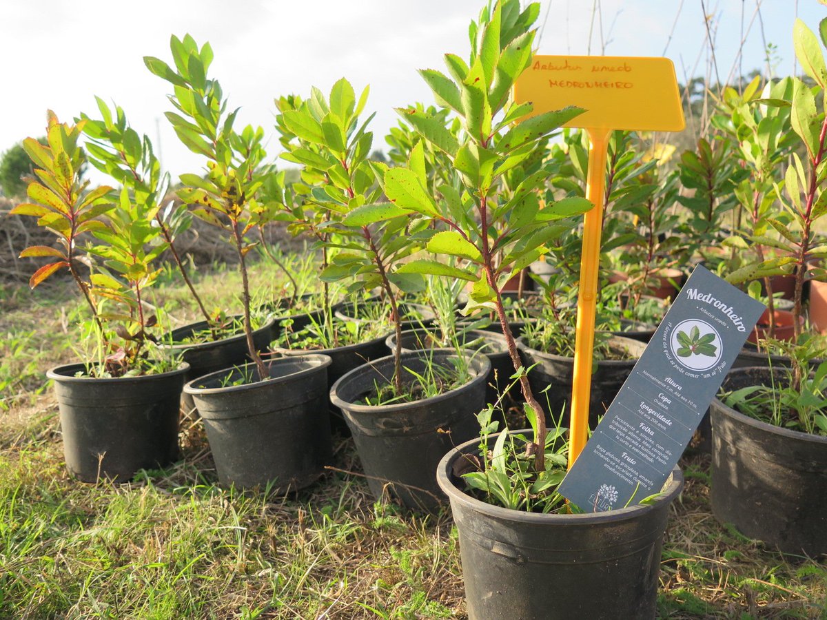 Nākamgad plānojam paveikt daudz labus darbus. Vairāk: baltadaba.lv/apspriezam-vie…