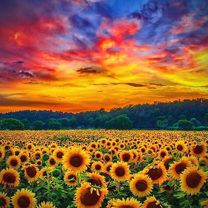 {}💕 #stayandwander #campingcollective #mountainclimbing #pct