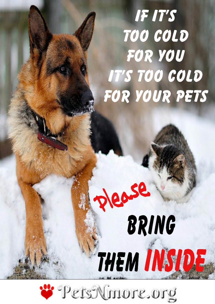 CherylNelsonTV's tweet photo. #TooCold #PetsInside #LovePets #Snow #ColdWeather @WRNAmbassadors @HumaneSociety @AmericanHumane @ASPCA https://t.co/FgvRu7XCiQ