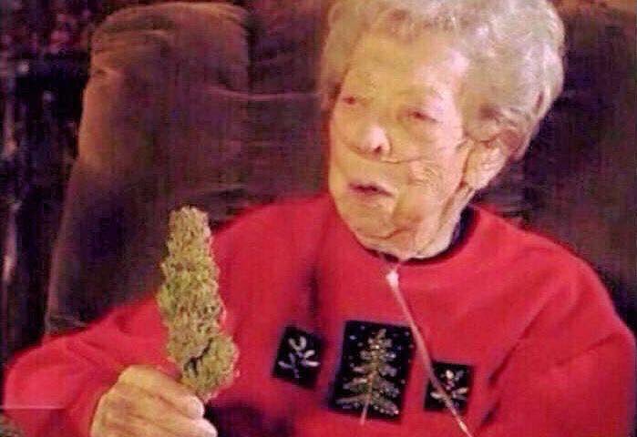 ElJeringasLoko's tweet photo. —Abuelita, ayúdeme a poner el árbol que ya casi es navidad 

—Aquí tengo tu arbolito, pu-ti-to. https://t.co/A8Dqyeugmt