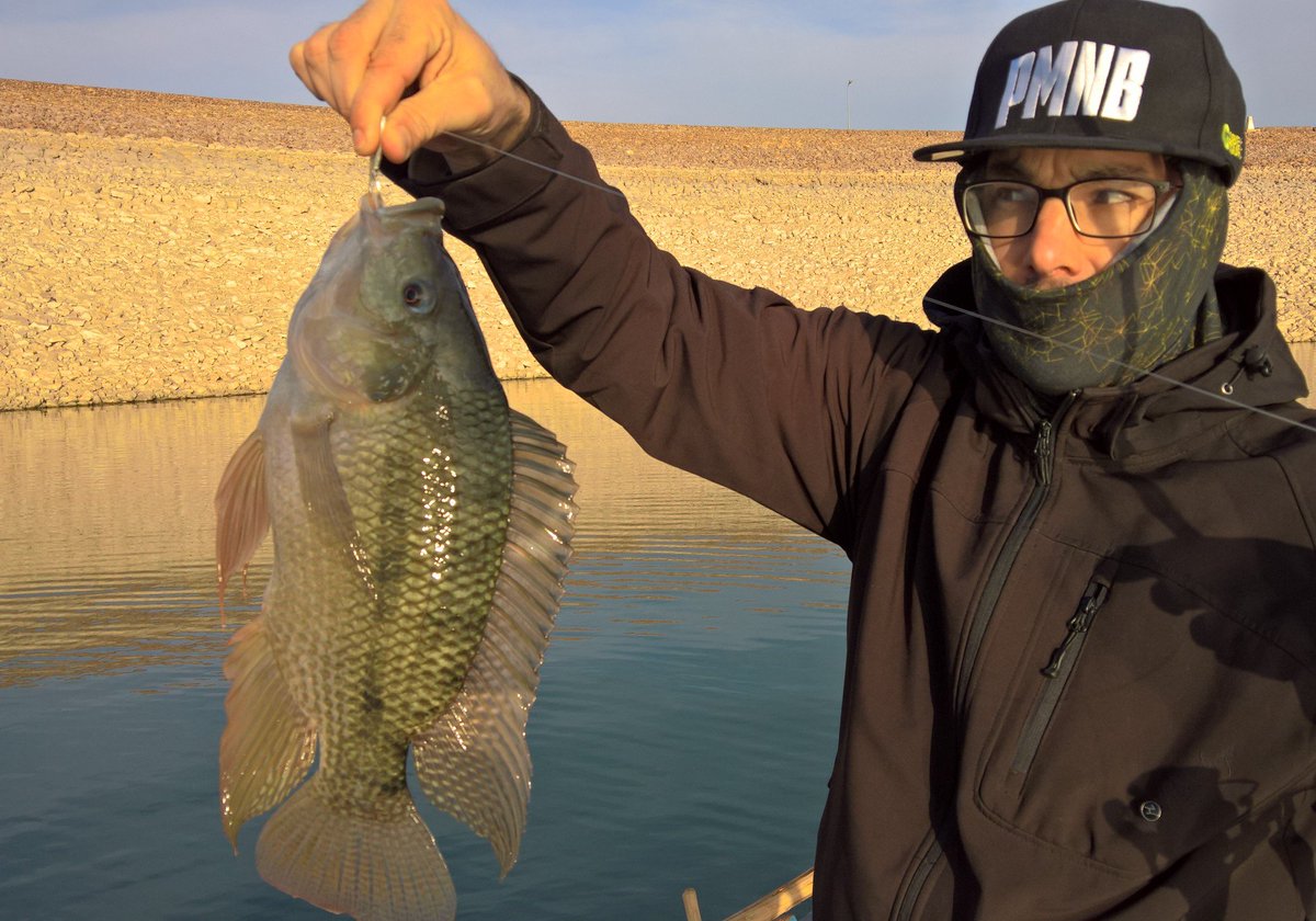 FishSharpBlog's tweet image. I just come back from Morocco! Fun fishing and sun, and a fishing report soon in the blog! Spoiler picture inside!