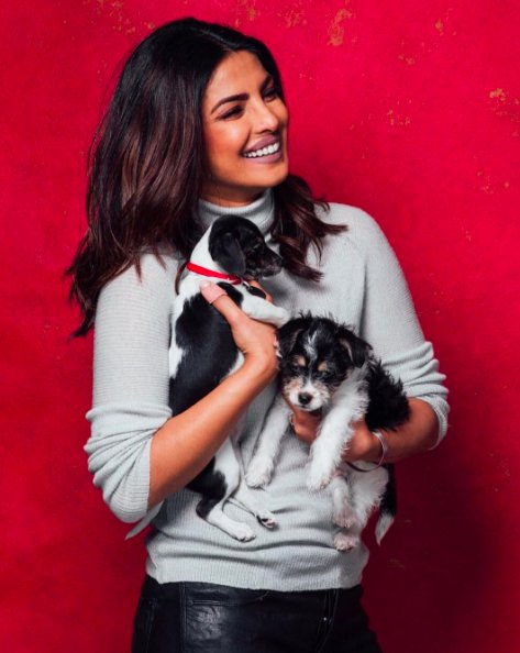 TeamPriyanka's tweet image. .@priyankachopra deserves the #PCAs because she is inspiring &amp;amp; relatable at the same time #UnstoppablePC 
Vote now: bit.ly/2gcWLqp