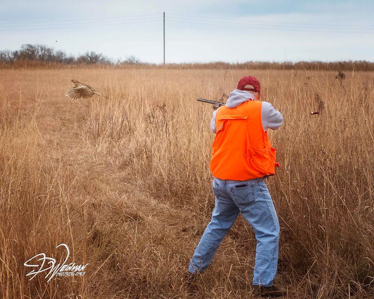 Weinman_photos's tweet photo. This is how I spent my Monday😝Hunting in Kansas #phaesant #hunting #germanshorthairedpointer #lonepinegamepreserve #jaredweinmanphotography https://t.co/UAWdzgwjXx