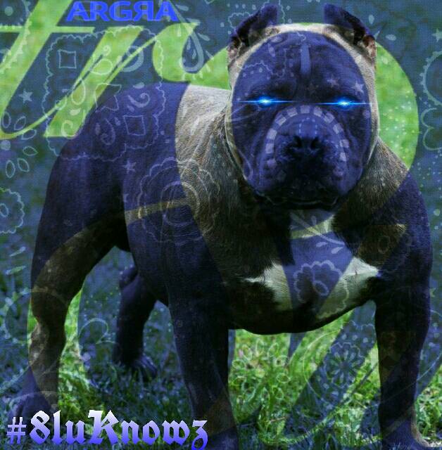 ur8oy8lu's tweet photo. RT https://t.co/hXbAvcAdwt @longliveRRRadio @DRTYBSMNT @BigFaceORG @Spy_ovo_Spy @Q100Vegas @theZombG @RazakelSKR @theflatlinerz #ARGRA #8LU https://t.co/W0GsmndfXf