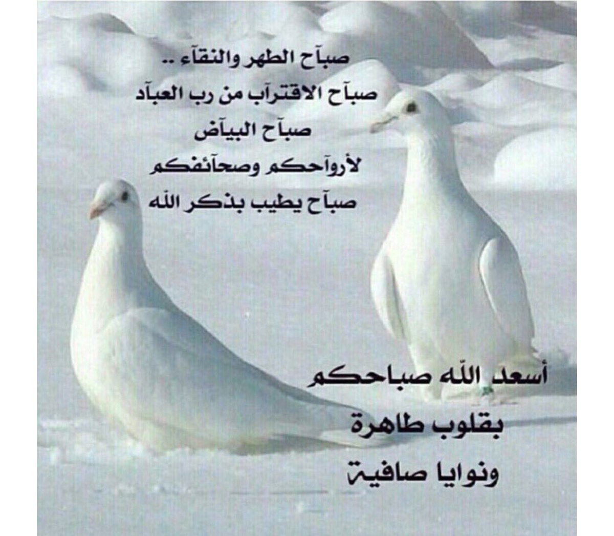 اللهم لاتحجب إحسانك عنا بتقصيرنا
ولا تمنعنا فضلك بغفلتنا
اللهم زدنا نوراً في القلب وضياء ًفي الوجه وسعة في الرزق
     واغفر لنا ولوالدينا 🌹