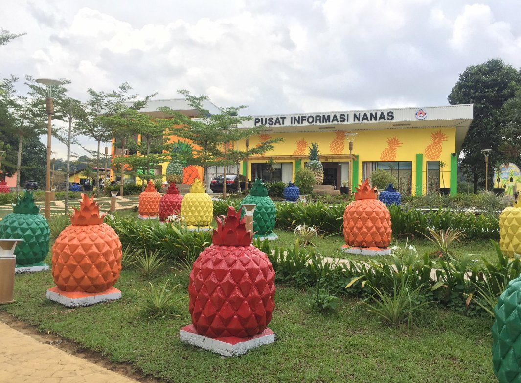 toqadi's tweet photo. Tanda2 kemunculan #pineappleplanet ternampak di #Maha2016 https://t.co/8Ow2ALntJr