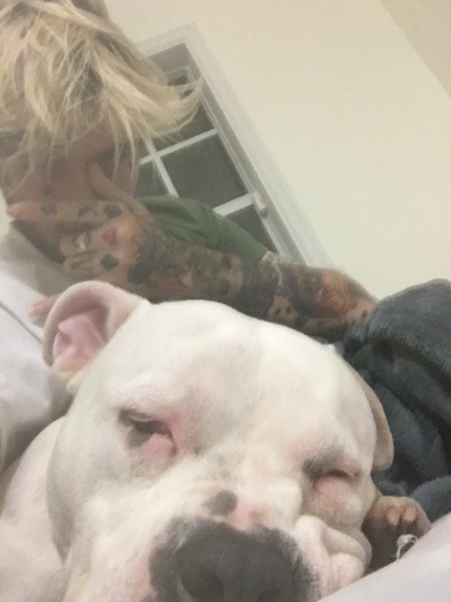 Lilpeep's tweet photo. I bet u didn't know I speak to animals and we plan to soon take over the world https://t.co/RXl84M6HPe