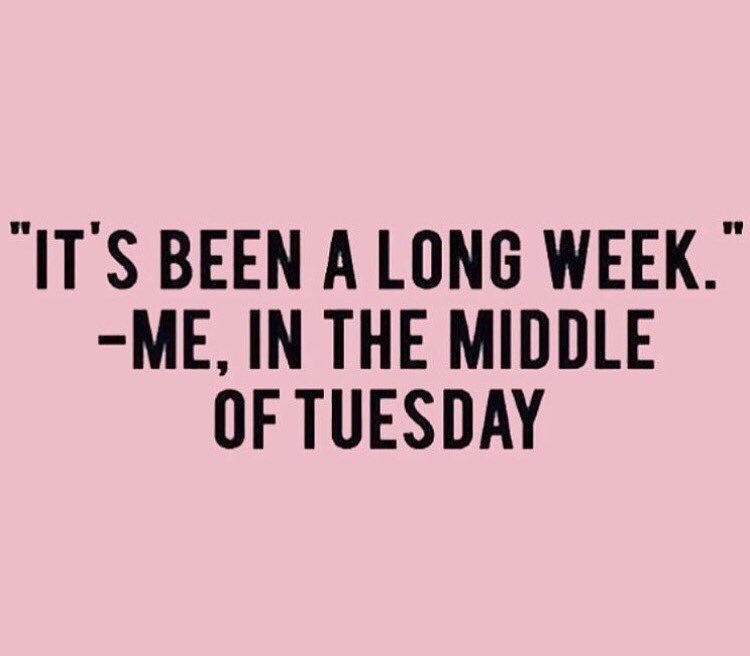 Dutchess_Roz's tweet photo. 😅 #mood #workworwork https://t.co/3Id9U8OD23