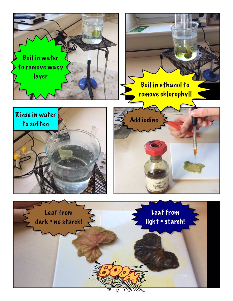 Cheam_Science tweet picture
