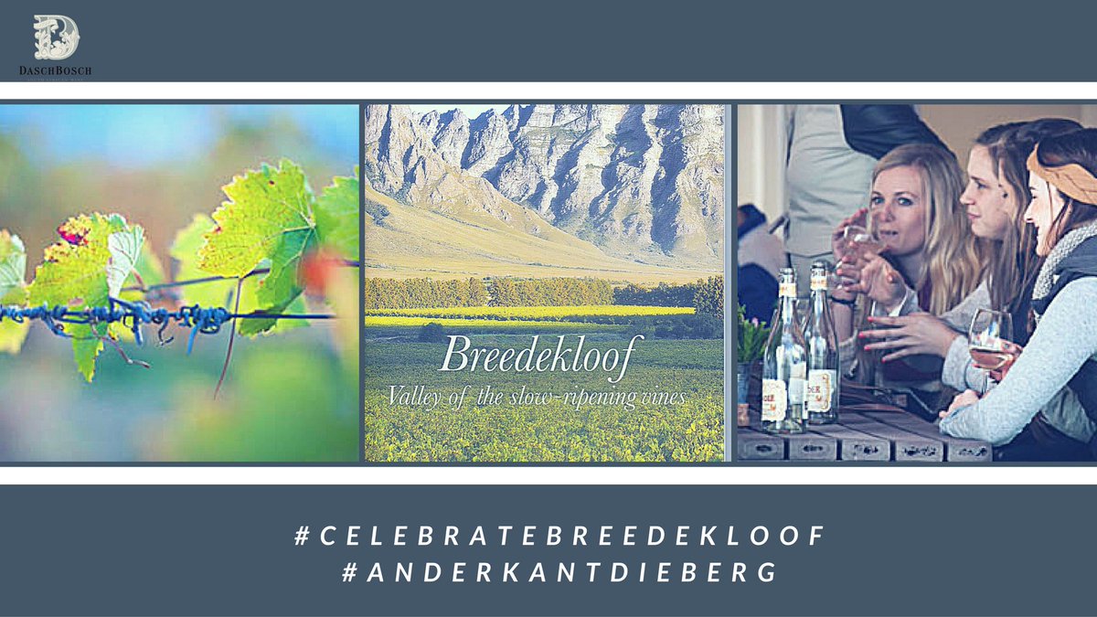 MeanderWines's tweet photo. #celebratebreedekloof #anderkantdieberg @BreedekloofWine @BreedeMakers #funkypeople #wineweeks #letsgo only until 17 December 2016 !! https://t.co/RvFCI2vNkh