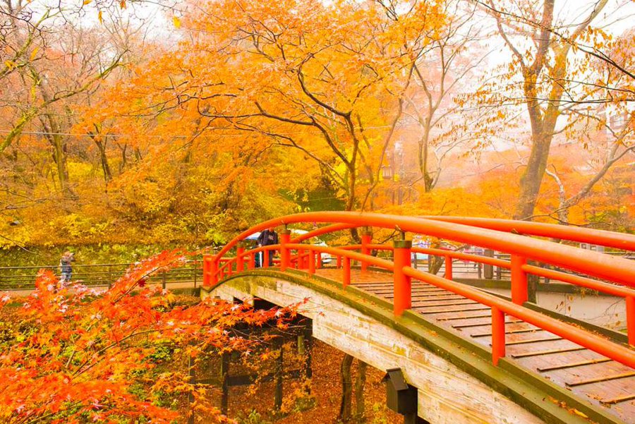 河鹿橋紅葉のライトアップ19の期間と時間は 駐車場や口コミも調査