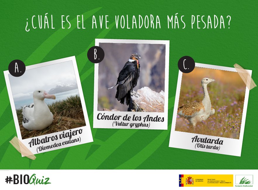 FBiodiversidad's tweet image. ¿Cuánto sabes de #Biodiversidad? #BioQuiz