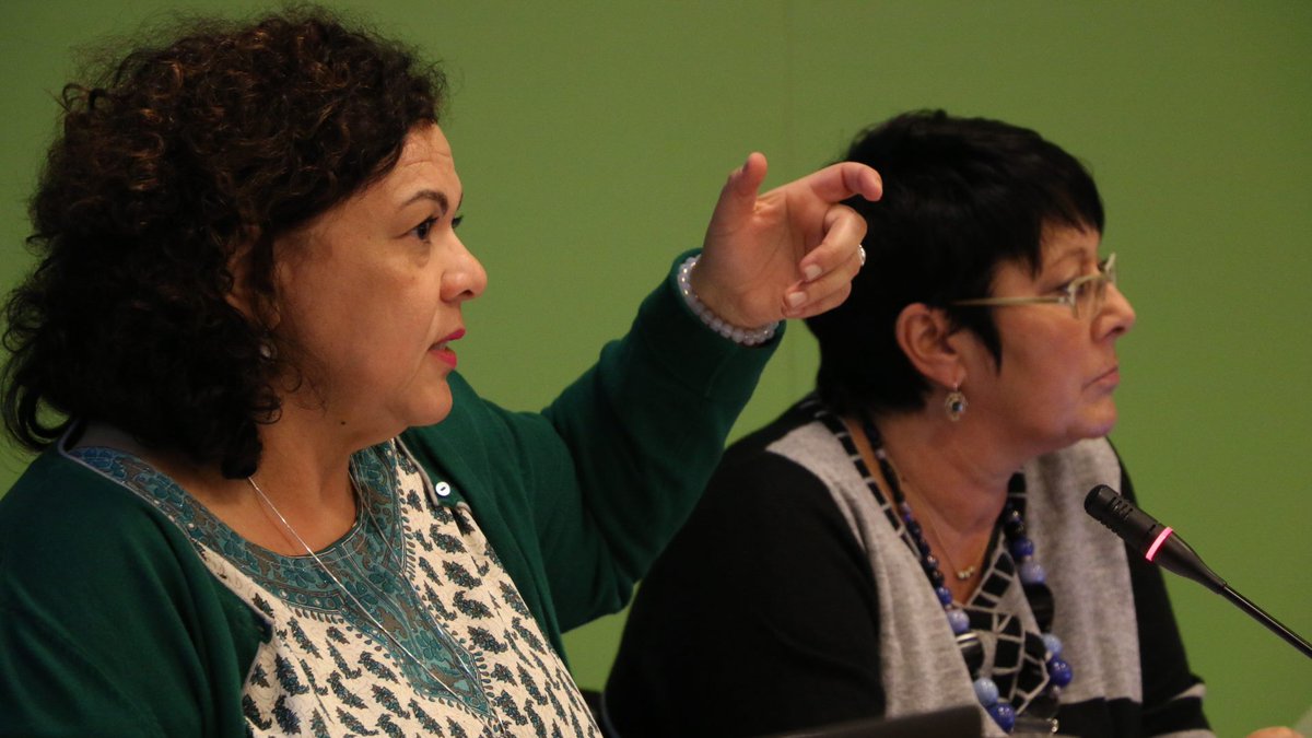Women's Ctte Chair <a href="/Juneia/">Juneia Batista</a> Batista "Women are virtually inexistent when economic decisions are taken throughout the world"
