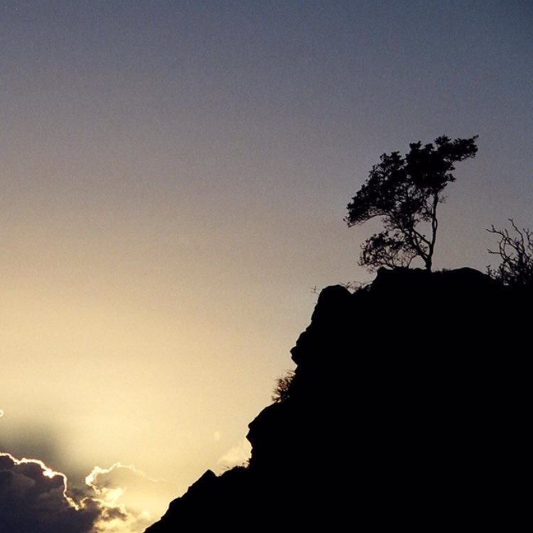 WritingHealing's tweet image. Taking a moment to look beneath the surface. 
Reflect on what's within.
#write #meditation #healing #survivor #cancersurvivor #story #share