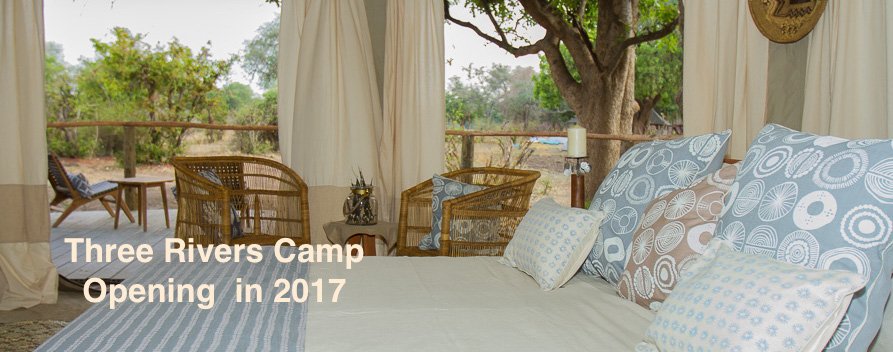 Sneak preview of Three Rivers Camp! 
luangwa.com/our-camps/thre… <a href="/KafuntaSafaris/">Kafunta Safaris</a> #southluangwa #zambia #africansafari #kafuntasfaris