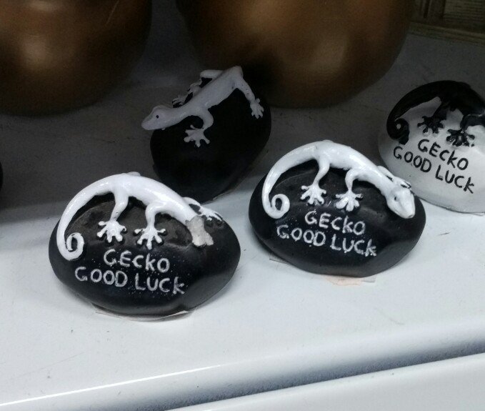 Titania_Gusania's tweet photo. 4° día en China. Queremos souvenires de un templo y.. la verdad es que este geko de la buena suerte no me inspira mucha confianza #samatao https://t.co/ULpidQ2EE3