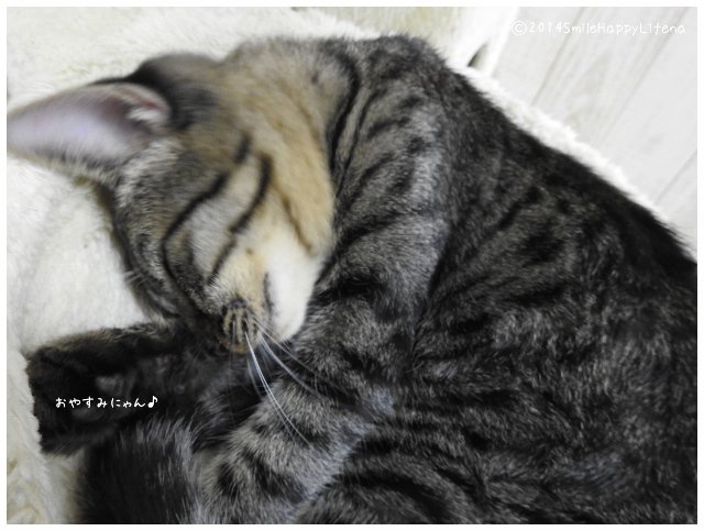 Twitterで画像を見る