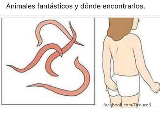 E_Matasanos's tweet photo. 🦄🐉 https://t.co/zxY3y9qXZL