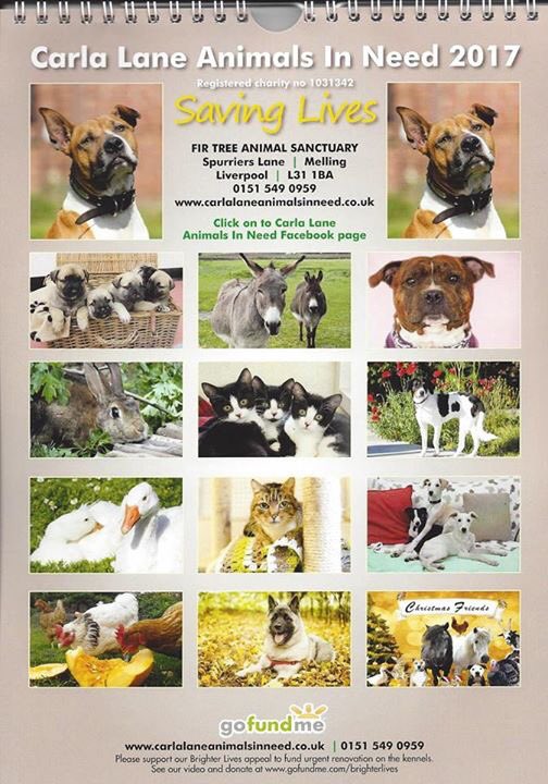 InNeedAnimals's tweet image. Our calendars have arrived!!!!🐾