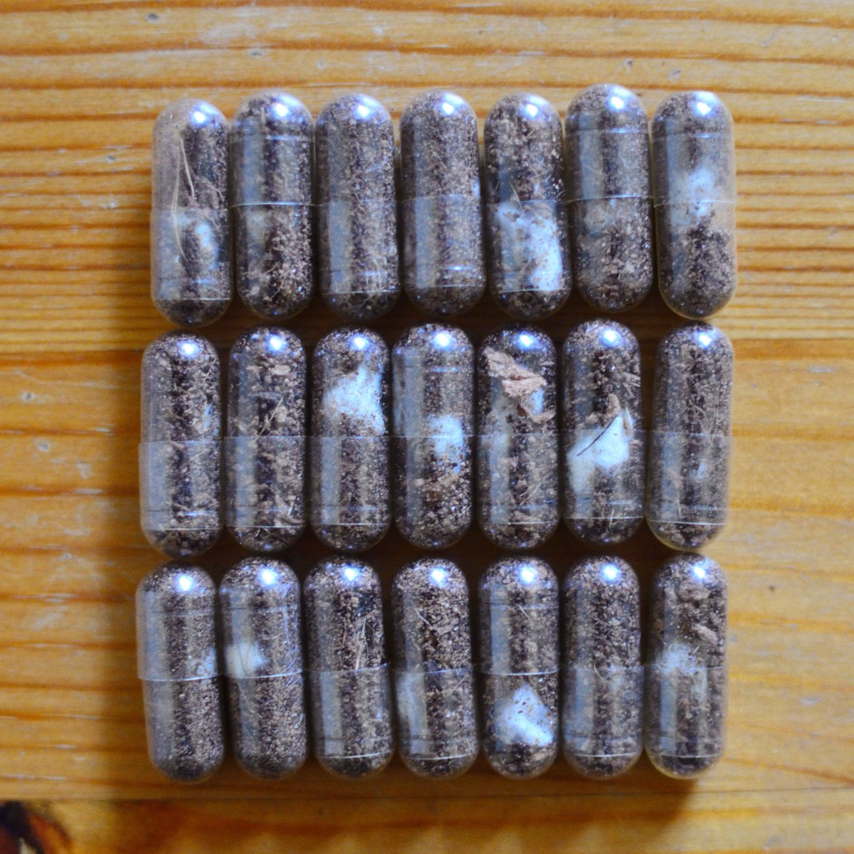Hier die ersten 21 Baumwoll-Seedpills, die nur darauf warten getestet zu werden. Bin gespannt! #guerillagardening #baumwolle #seedpills