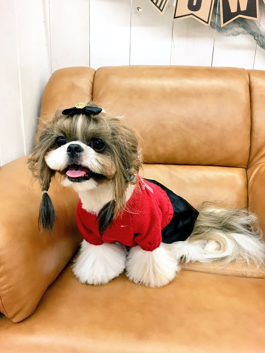 cheri_chanchan's tweet photo. シェリちゃん
Twitterはじめました😳🔰🔰
よろしくお願いします！ https://t.co/dfYBkdQF1E