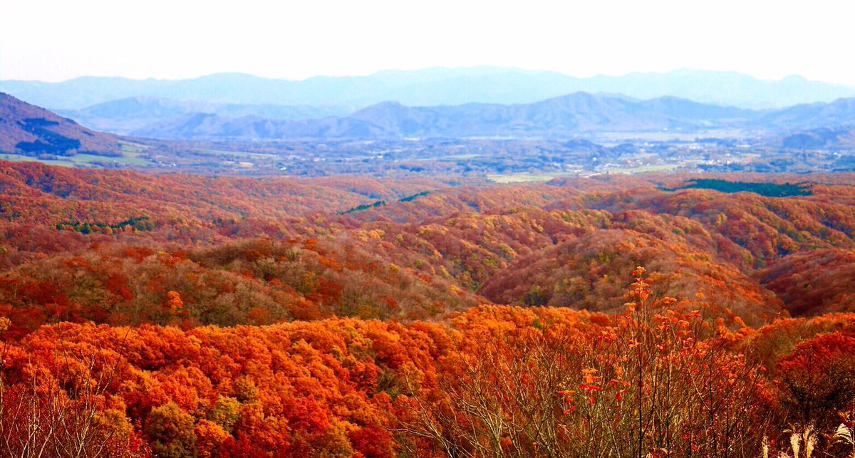 あっきー 緑と赤 11 13 蒜山 大山 紅葉狩り 中腹は落葉も多かったですが裾野はまさにピーク 紅葉の大パノラマを楽しめました 蒜山 大山 紅葉 ファインダー越しの私の世界 あっきーの旅写真