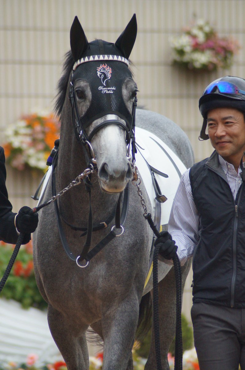 ゆーすけ 競馬写真 16 11 京都５r 二歳新馬戦 ポポカテペトル R ムーア 父ディープインパクト 母ミスパスカリは今年スプリングｓを制したマウントロブソンの下になります 個人的に早くから注目している馬で 順調に歩を進めていってほしいです