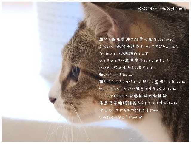 Twitterで画像を見る