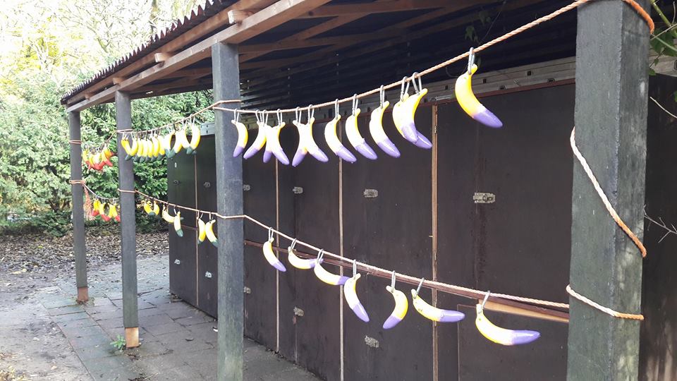 Klimpark Fun Forest tweet media