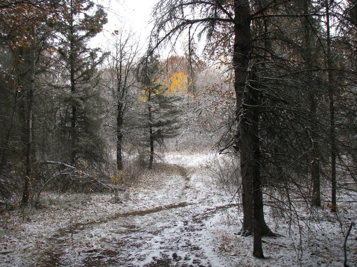 MBHabitat's tweet image. MHHC - Manitoba's Homegrown Conservation organization is online! Check us out. mhhc.mb.ca. #manitoba, #wetlands, #speciesatrisk