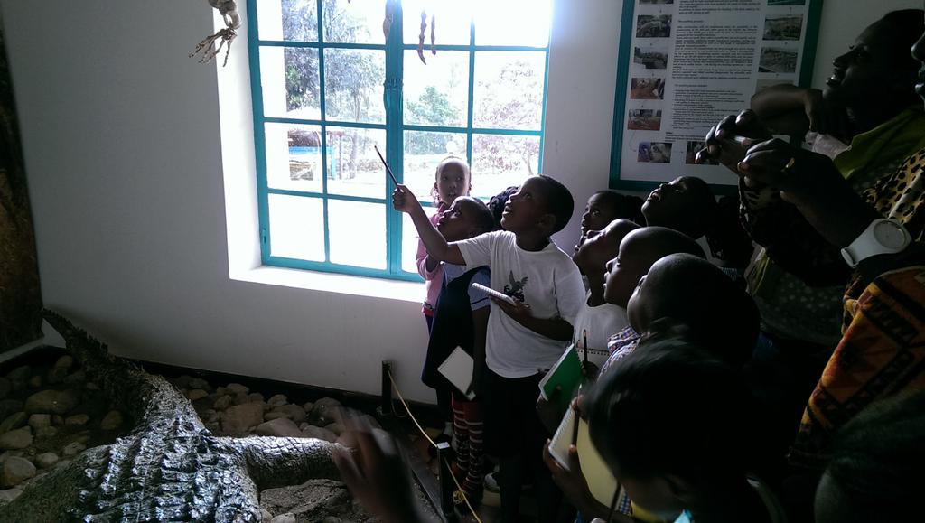 A few photos of Doves Montessori school visit <a href="/NHMKandthouse/">NaturalHistoryMuseum</a> this morning....A trip to remember for sure