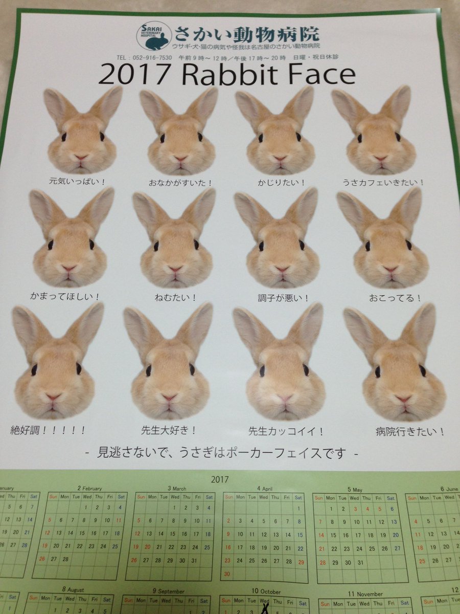 動物病院でもらった来年のカレンダーが斜め上のデザインでウチのウサギも動揺してる。 院長先生のウサギ愛溢れすぎ。 うさぎ ウサギ うさぎ好きさんと繋がり