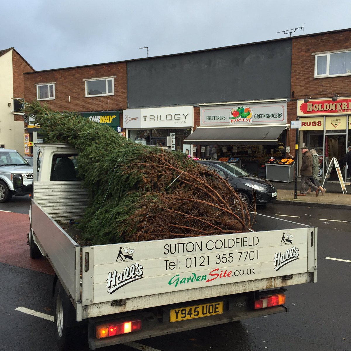 hallsgardensite's tweet image. Hall's deliver Christmas tree to Boldmere High Street. #SuttonColdfield #boldmere