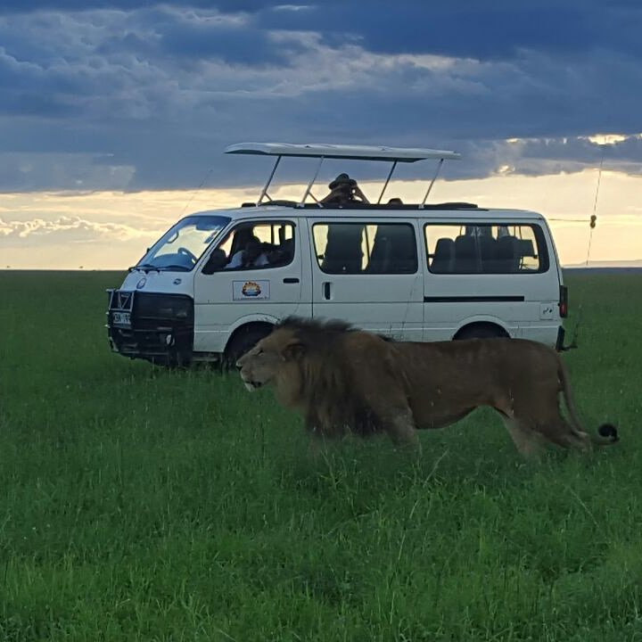 jameskalaa1's tweet photo. Safari Photo at the masai mara Kenya https://t.co/XCQbt09ET3